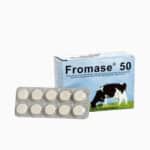 Cheag pastile Fromase pentru 50l lapte