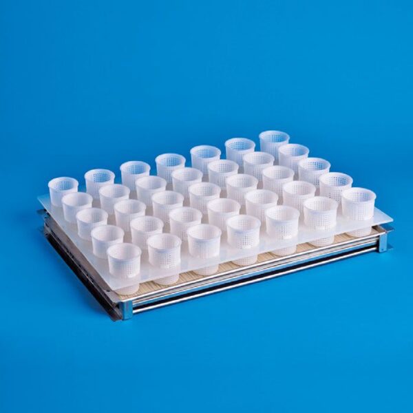 Suport multiforme branza cu tava de scurgere 35 matrite (ø7 H8cm) poza 1