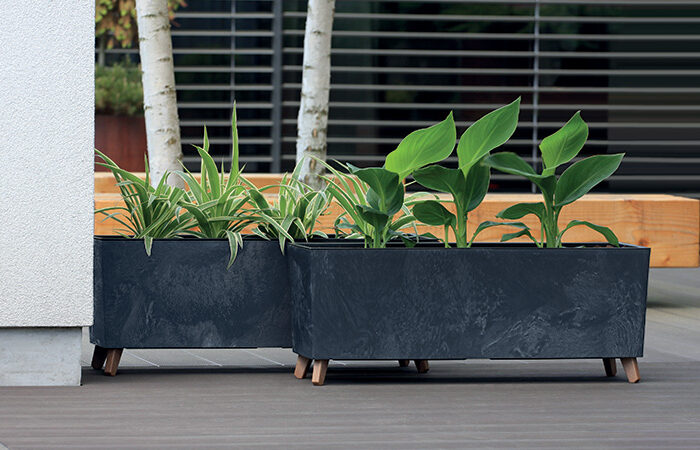Colectia Urbi_Case_Beton_Effect_N_DUC800NE_S433_750x450