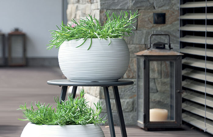Ghiveci Furu_Bowl_DBFUK_S449_aranz_01
