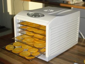 Deshidrator fructe cu timer Frutty-2523