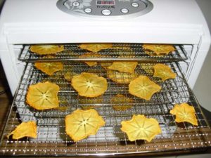 Deshidrator fructe cu timer Frutty-2524