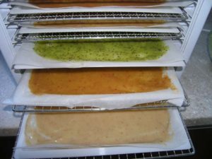 Deshidrator fructe cu timer Frutty-2526