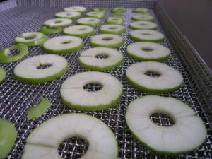 Deshidrator fructe profesional Frutty 25-2541