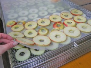 Deshidrator fructe profesional Frutty 25-2542