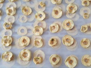 Deshidrator fructe profesional Frutty 25-2543