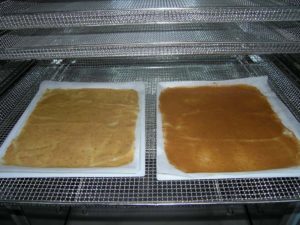 Deshidrator fructe profesional Frutty 25-2544