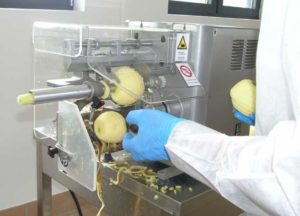 Deshidrator fructe profesional IMF 50-2551