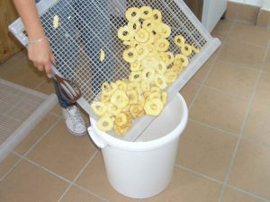 Deshidrator fructe profesional IMF 50-2557